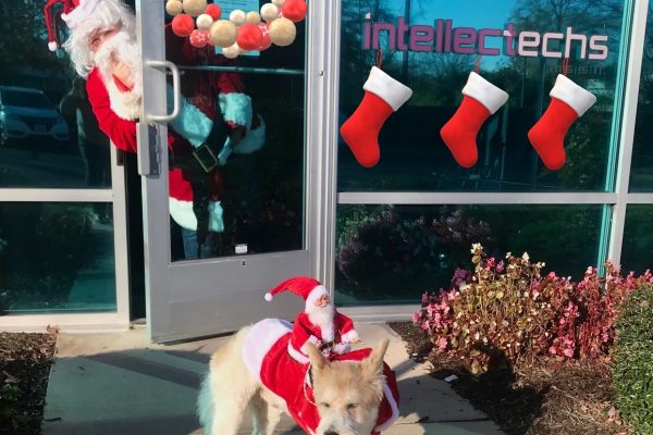Holiday Contest